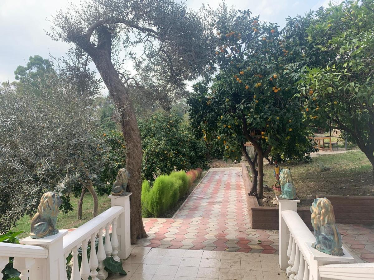 Отель Мэри New Athos Dış mekan fotoğraf